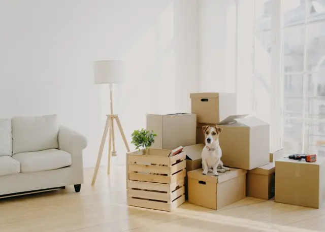 Next-Day-Moving--in-Brandywine-Maryland-Next-Day-Moving-26932-image